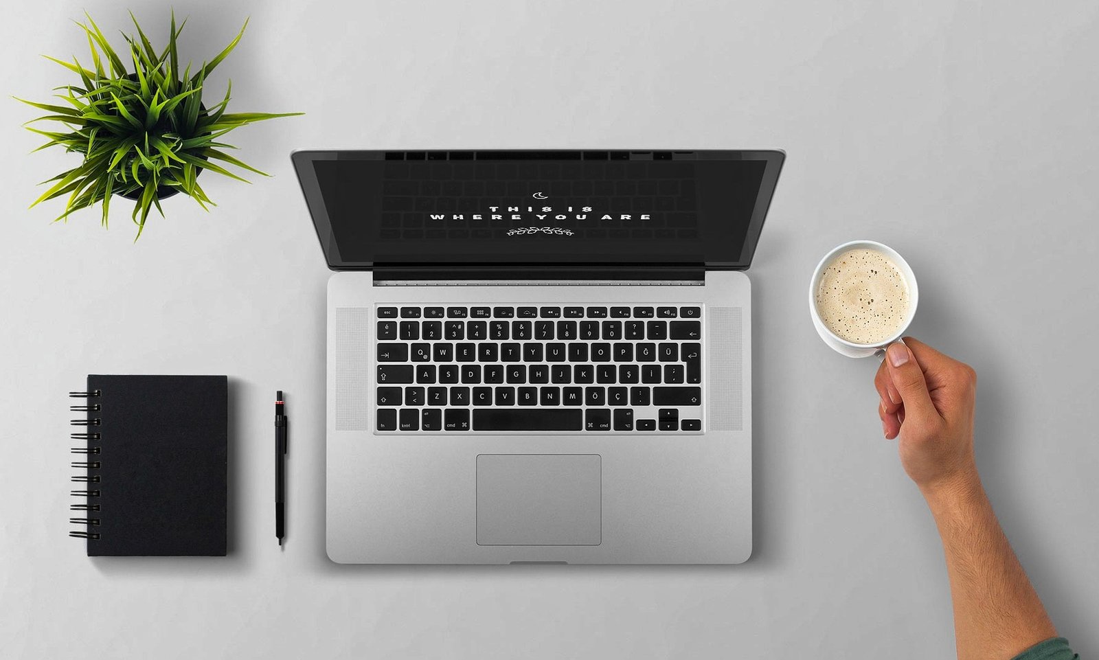 Développeuse web freelance